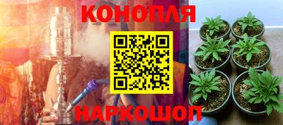 PSILOCYBIN Краснодар