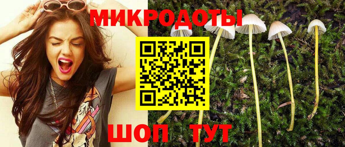 Шатура  Псилоцибиновые грибы Cubensis  цены   Вход с VPN 